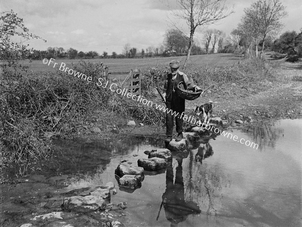 THE STEPPING STONES